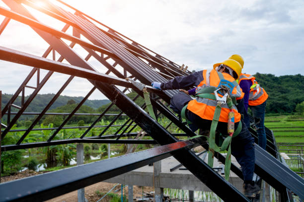 Best New Roof Installation  in Edinburg, VA