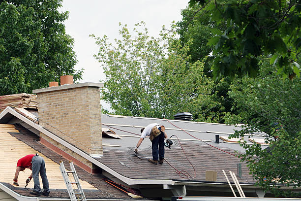Quick and Trustworthy Emergency Roof Repair Services in Edinburg, VA
